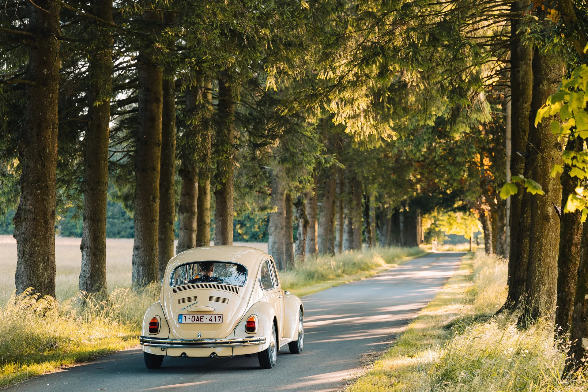 La coccinelle Volkswagen crème des mariés sur une route bordée d'arbres